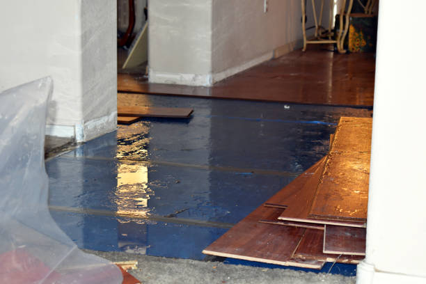 Professional Water Damage Restoration technician working in Bay Center, WA